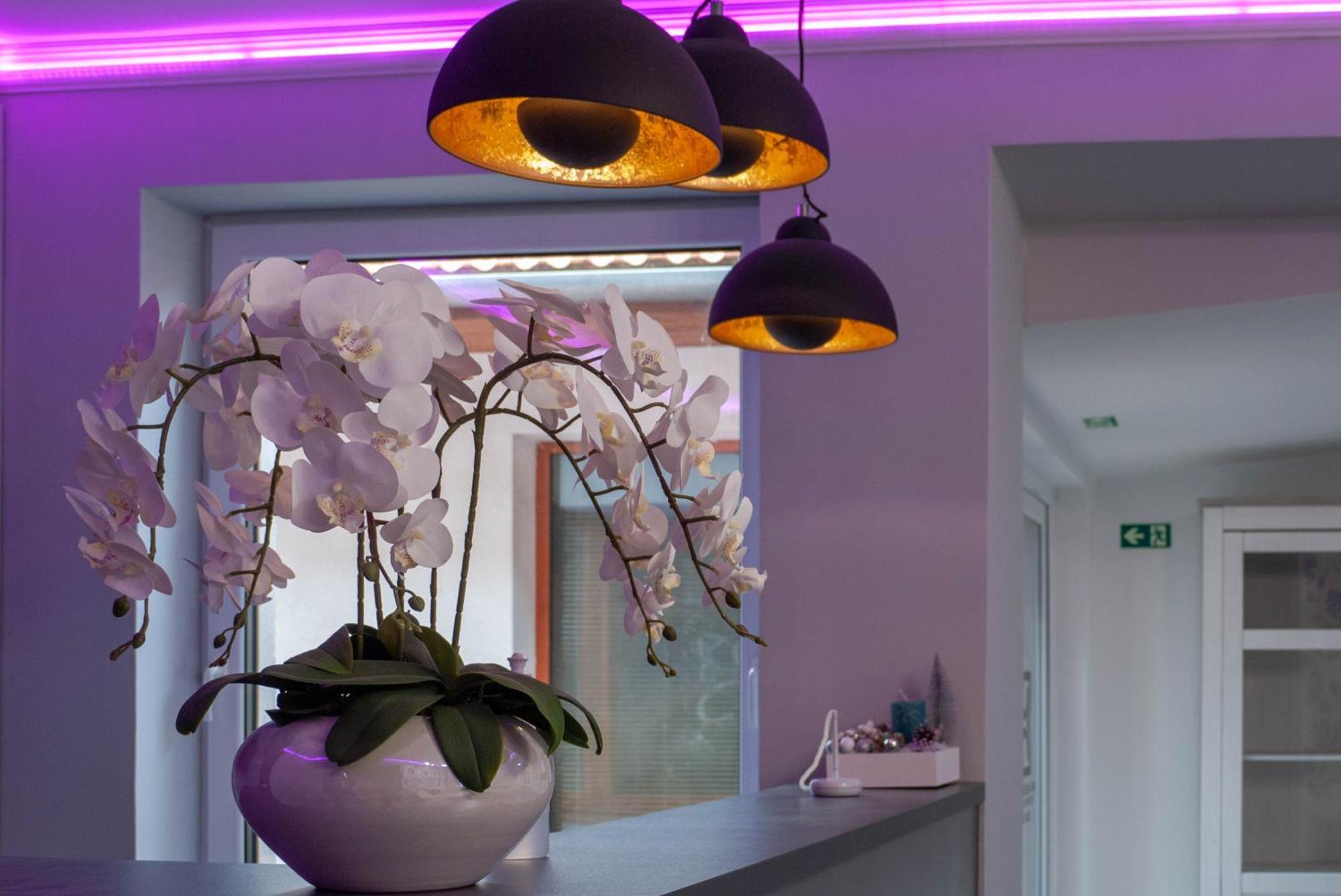 Bornemisza Kuria Wellness Resort Tiszabecs Экстерьер фото